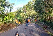 Tormenta deja arboles caídos y calles inundadas en el oriente del país el fin de semana