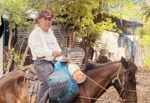 Hombre muere al intentar cruzar el río con su caballo