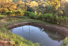 Niño murió ahogado en balneario de Morazán.