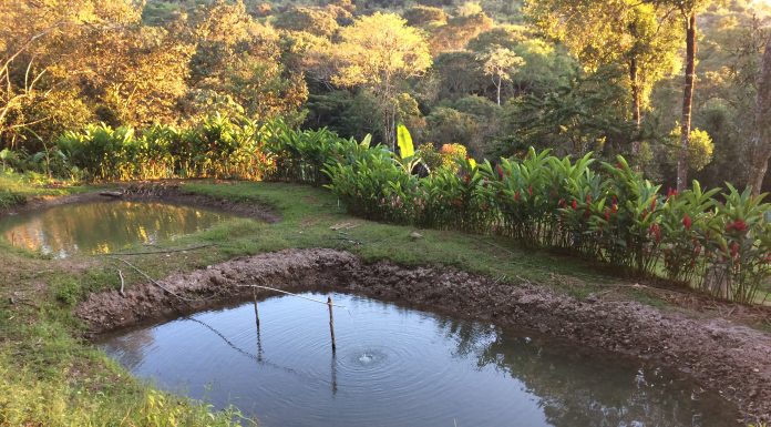 Niño murió ahogado en balneario de Morazán.