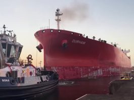 Disminución del paso de buques por el Canal de Panamá elevaría costo de operaciones que puede afectar a El Salvador:Silvia Aguilar de COEPORT.