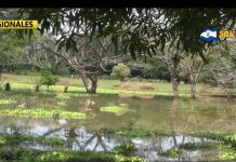 Pobladores de Casa Mota del cantón El Brazo San Miguel temerosos por presencia de lagartos en la zona.